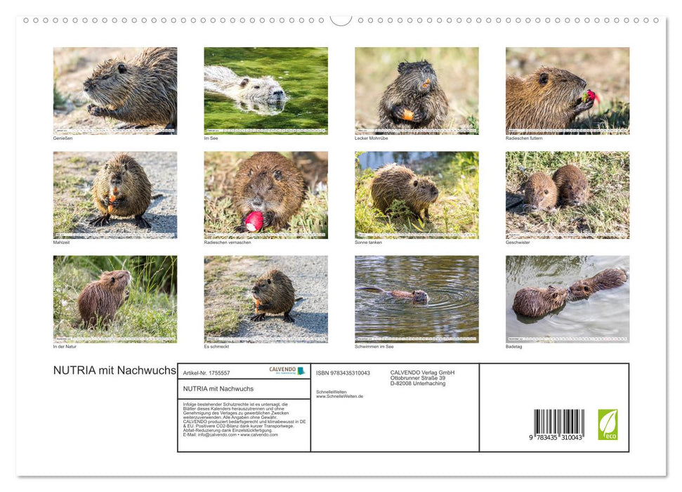 NUTRIA mit Nachwuchs (CALVENDO Premium Wandkalender 2025)