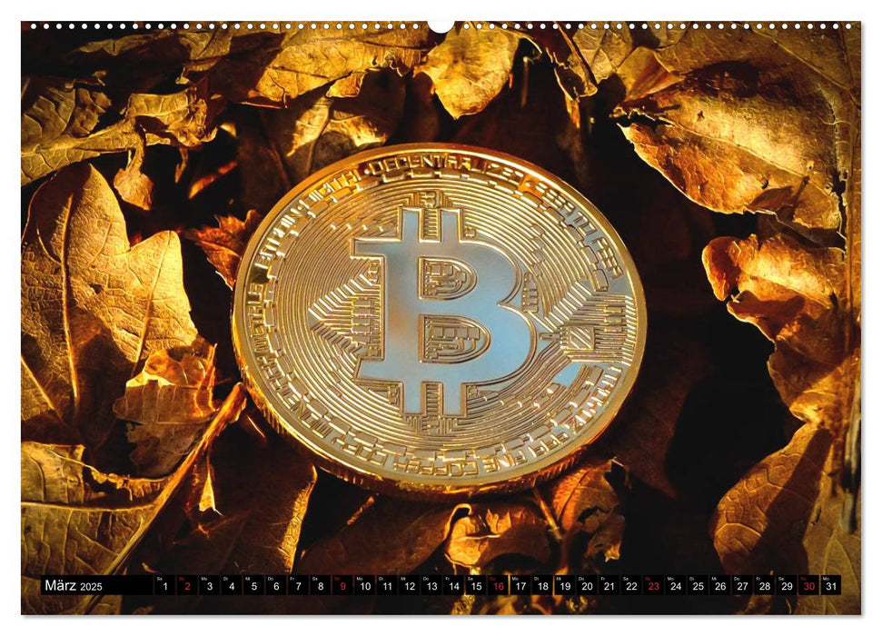 Bitcoins (CALVENDO Premium Wandkalender 2025)