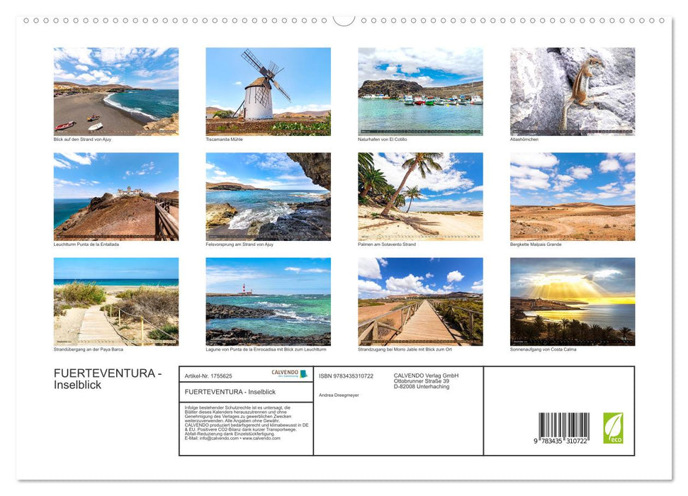 FUERTEVENTURA - Inselblick (CALVENDO Premium Wandkalender 2025)