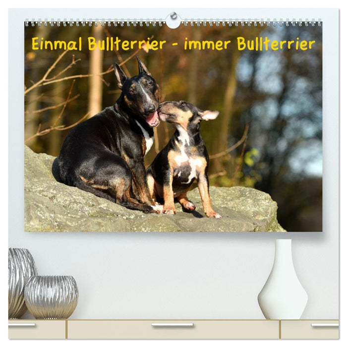 Einmal Bullterrier - immer Bullterrier (CALVENDO Premium Wandkalender 2025)