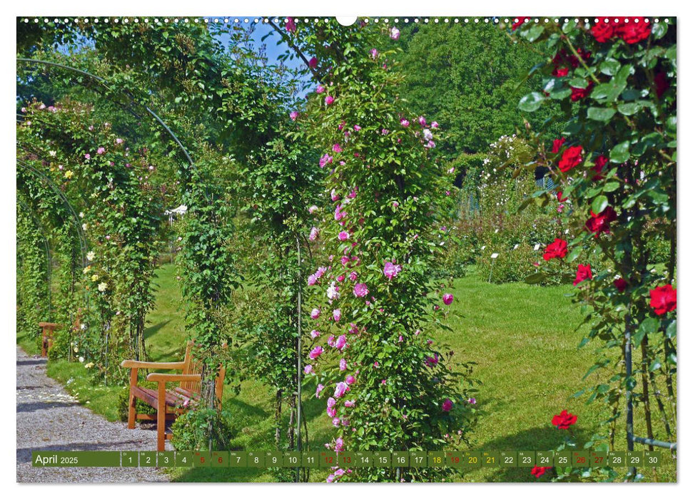 Rosengarten auf dem Beutig (CALVENDO Premium Wandkalender 2025)