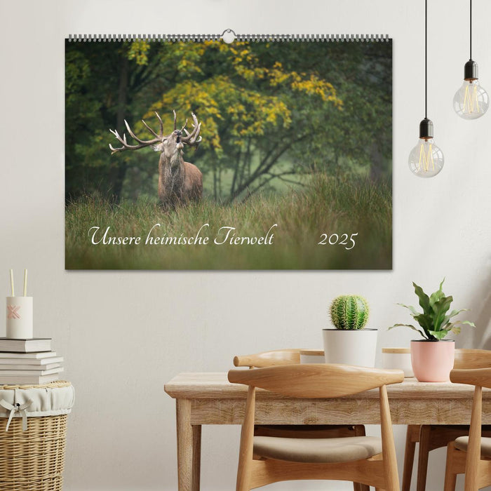 Unsere heimische Tierwelt (CALVENDO Wandkalender 2025)