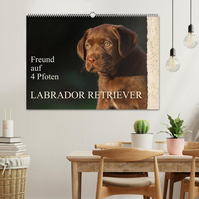 Freund auf 4 Pfoten - Labrador Retriever (CALVENDO Wandkalender 2025)