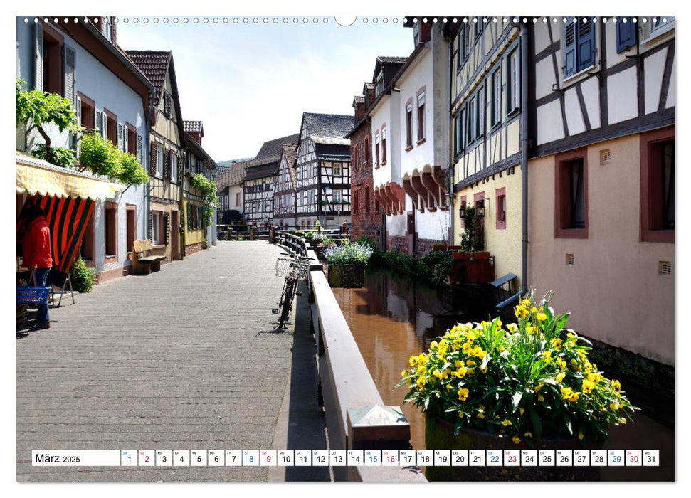 Annweiler am Trifels - Fachwerkidylle in der Pfalz (CALVENDO Premium Wandkalender 2025)