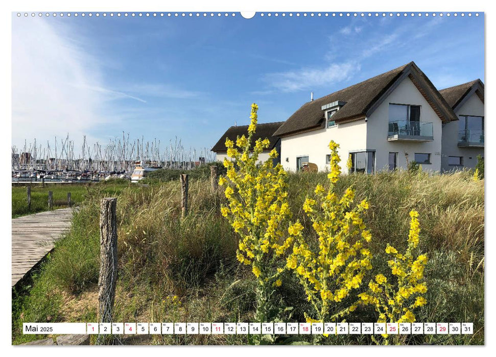 Küstenort Heiligenhafen (CALVENDO Premium Wandkalender 2025)