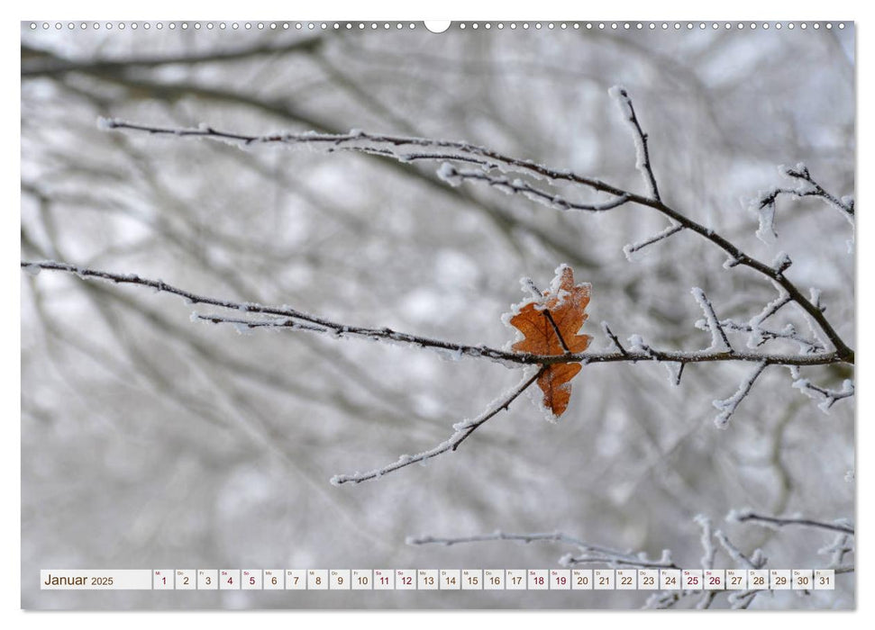 Ruhe und Mitte finden (CALVENDO Premium Wandkalender 2025)