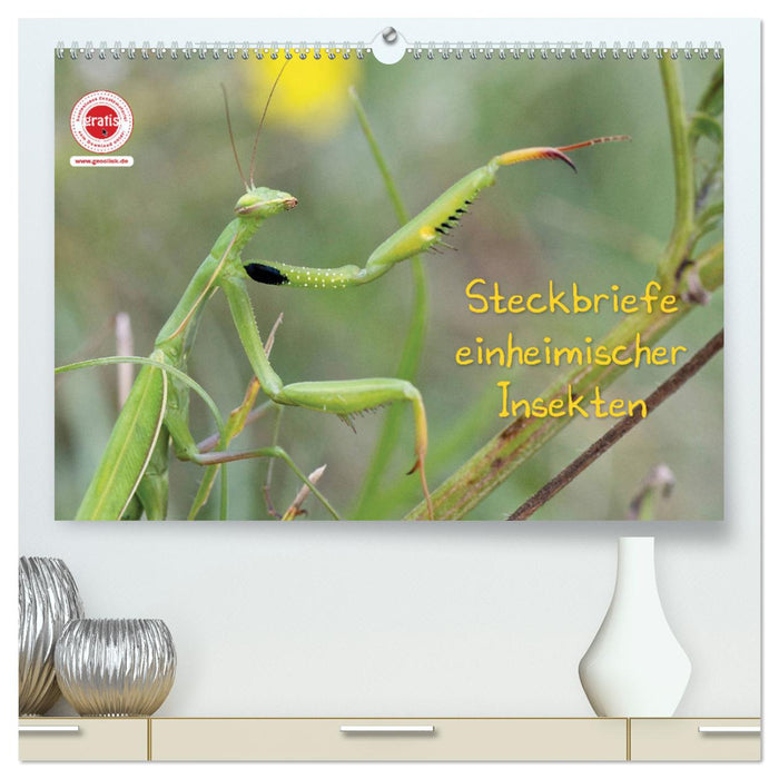 GEOclick Lernkalender: Insekten (CALVENDO Premium Wandkalender 2025)