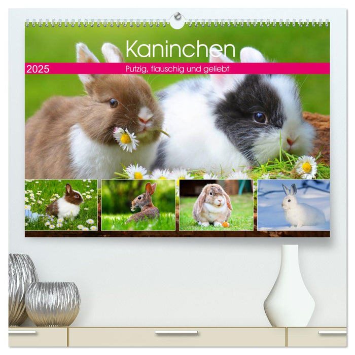 Kaninchen. Putzig, flauschig und geliebt (CALVENDO Premium Wandkalender 2025)