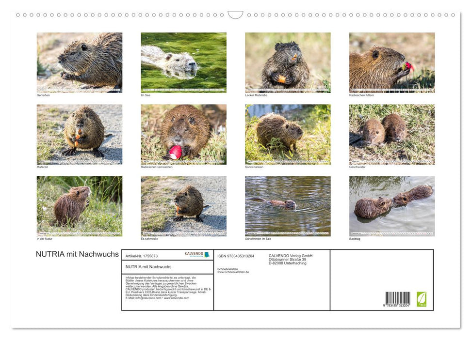 NUTRIA mit Nachwuchs (CALVENDO Wandkalender 2025)