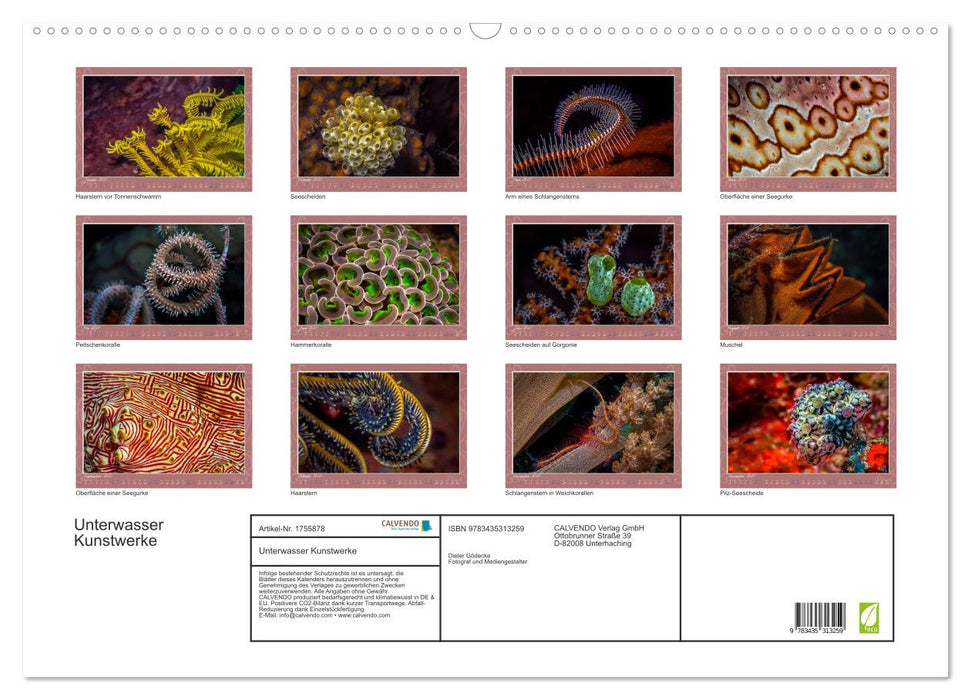 Unterwasser Kunstwerke (CALVENDO Wandkalender 2025)