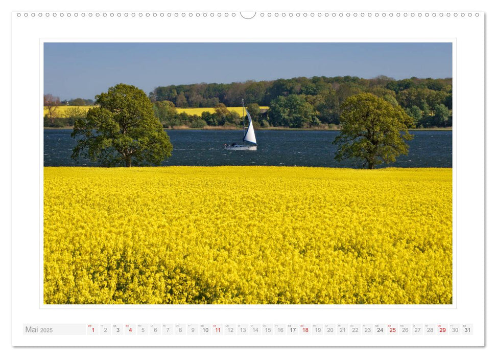 Schleswig-Holstein - über Stadt und Land (CALVENDO Premium Wandkalender 2025)