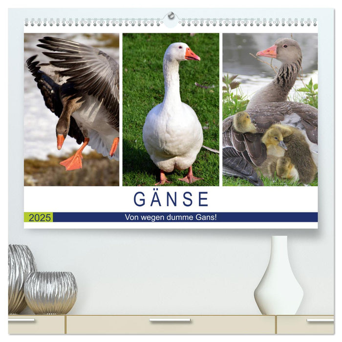 Gänse. Von wegen dumme Gans! (CALVENDO Premium Wandkalender 2025)