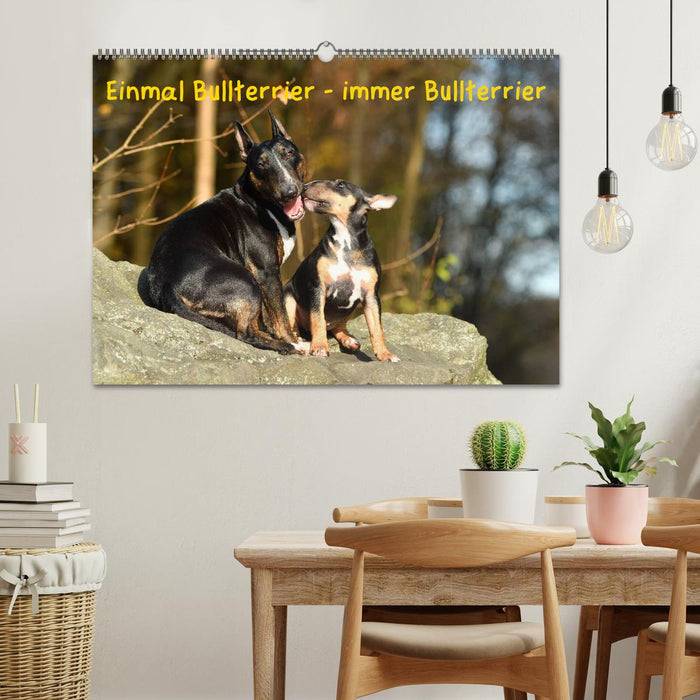 Einmal Bullterrier - immer Bullterrier (CALVENDO Wandkalender 2025)