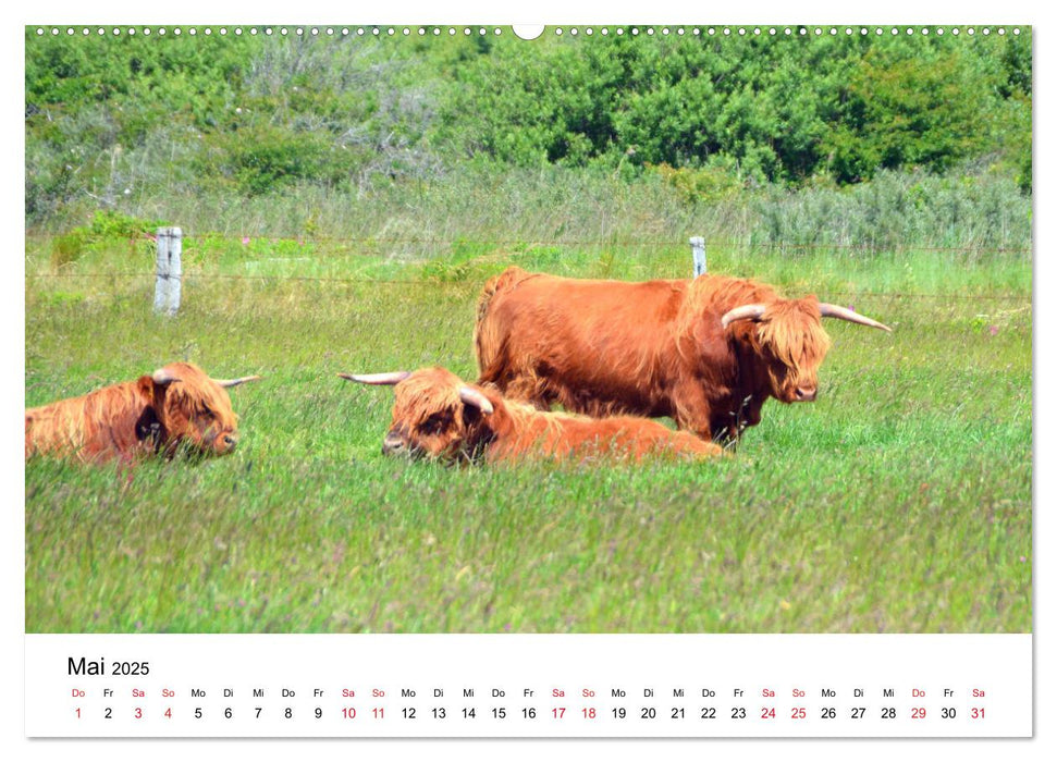 Langeoog - Sommer, Sonne, Strand (CALVENDO Premium Wandkalender 2025)