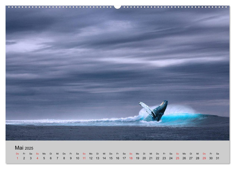 Am Meer. Sehnsucht Wasser (CALVENDO Premium Wandkalender 2025)