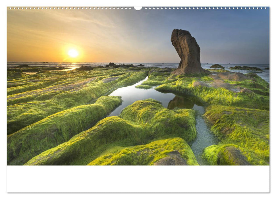 Am Meer. Sehnsucht Wasser (CALVENDO Premium Wandkalender 2025)