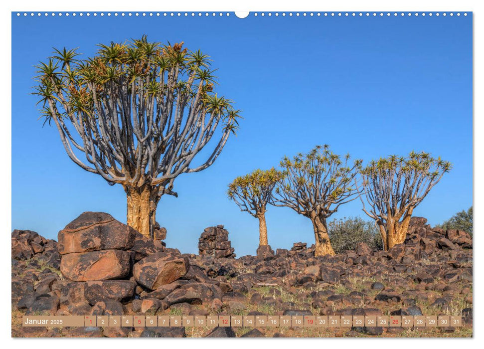 Namibia, afrikanisches Abenteuer (CALVENDO Premium Wandkalender 2025)