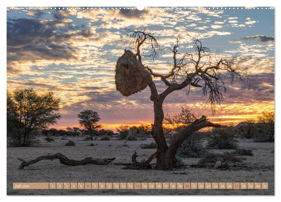 Namibia, afrikanisches Abenteuer (CALVENDO Premium Wandkalender 2025)