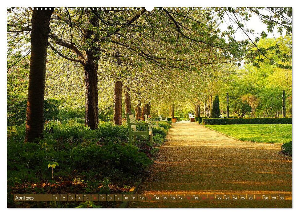 Impressionen - Gütersloh entlang der Dalke (CALVENDO Premium Wandkalender 2025)