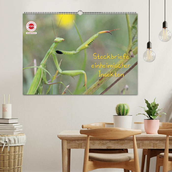 GEOclick Lernkalender: Insekten (CALVENDO Wandkalender 2025)