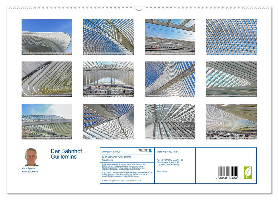 Der Bahnhof Guillemins (CALVENDO Premium Wandkalender 2025)