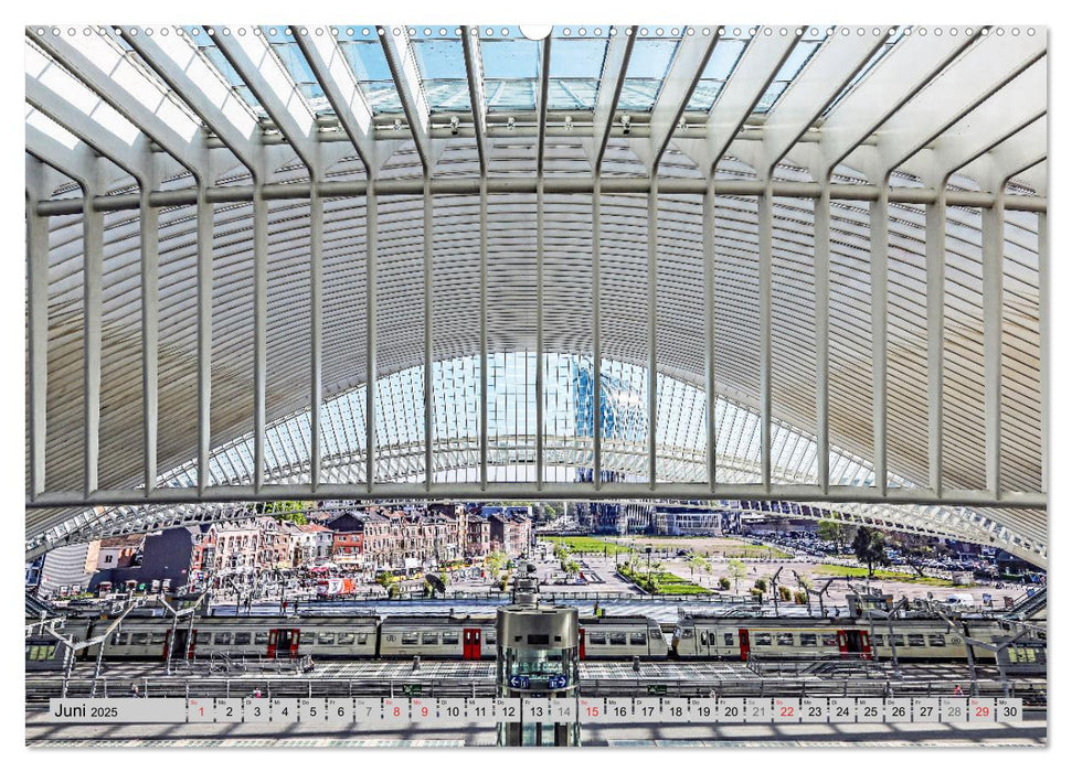 Der Bahnhof Guillemins (CALVENDO Premium Wandkalender 2025)