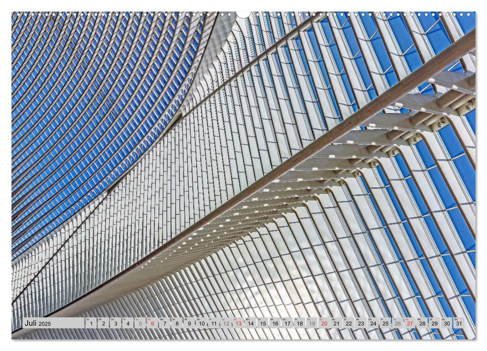 Der Bahnhof Guillemins (CALVENDO Premium Wandkalender 2025)