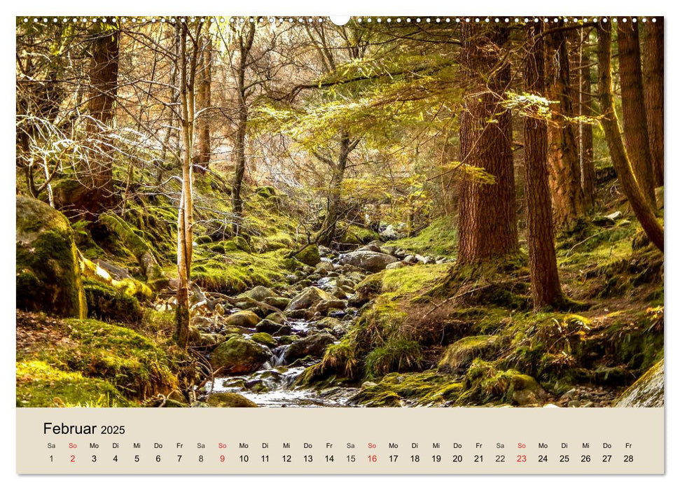 Der Wald. Durch zauberhafte Waldlandschaften (CALVENDO Premium Wandkalender 2025)