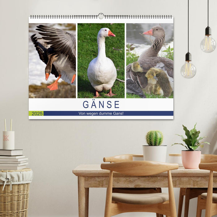 Gänse. Von wegen dumme Gans! (CALVENDO Wandkalender 2025)