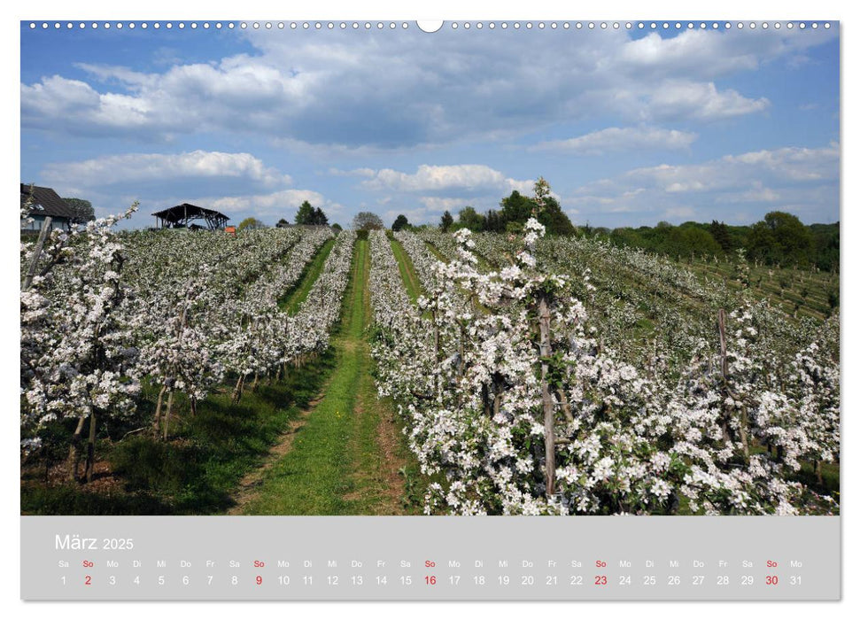 Das Bergische Land - wunderschön (CALVENDO Premium Wandkalender 2025)