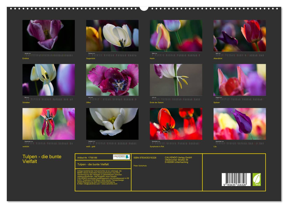 Tulpen - die bunte Vielfalt (CALVENDO Premium Wandkalender 2025)