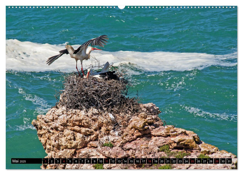 Portugal - Die Küste vom Cabo da Roca zur Ria Formosa (CALVENDO Premium Wandkalender 2025)