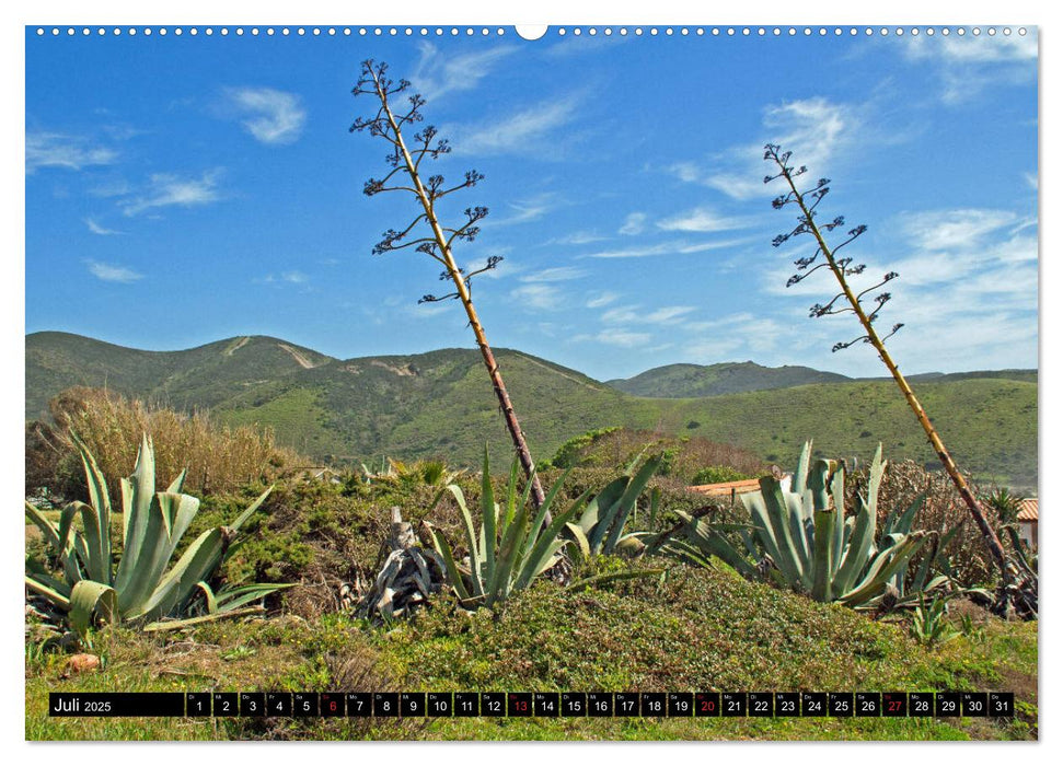 Portugal - Die Küste vom Cabo da Roca zur Ria Formosa (CALVENDO Premium Wandkalender 2025)