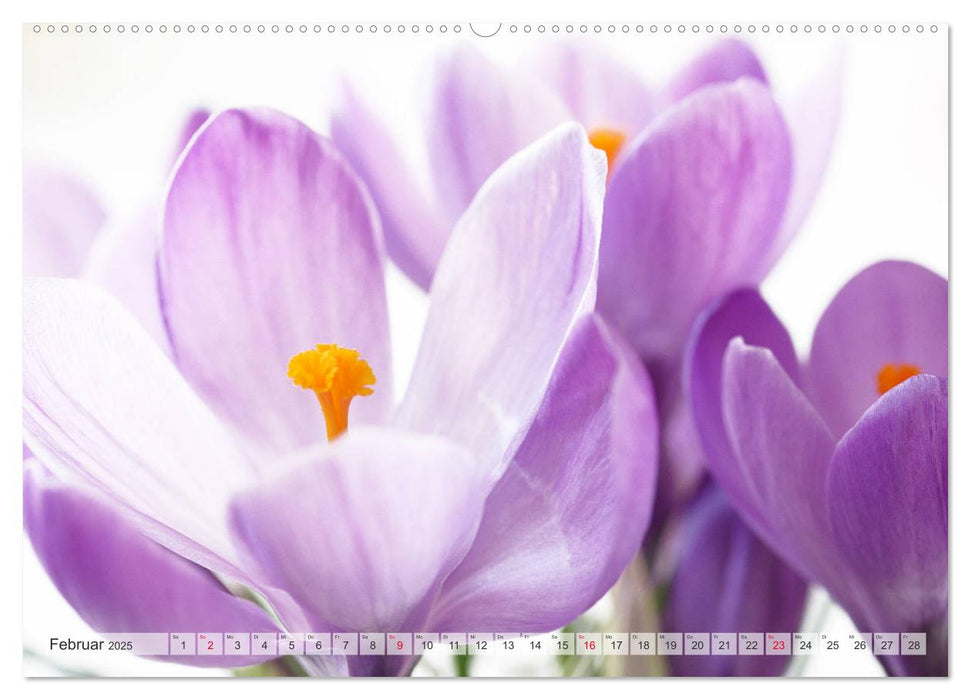 Blumenlust (CALVENDO Premium Wandkalender 2025)