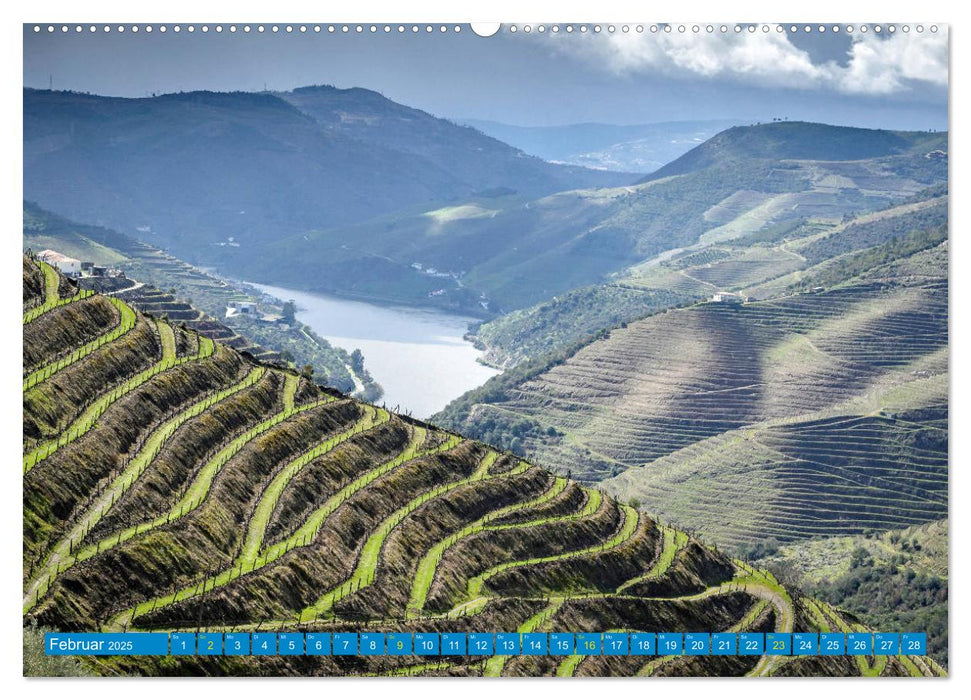 Porto & das Douro-Tal (CALVENDO Premium Wandkalender 2025)