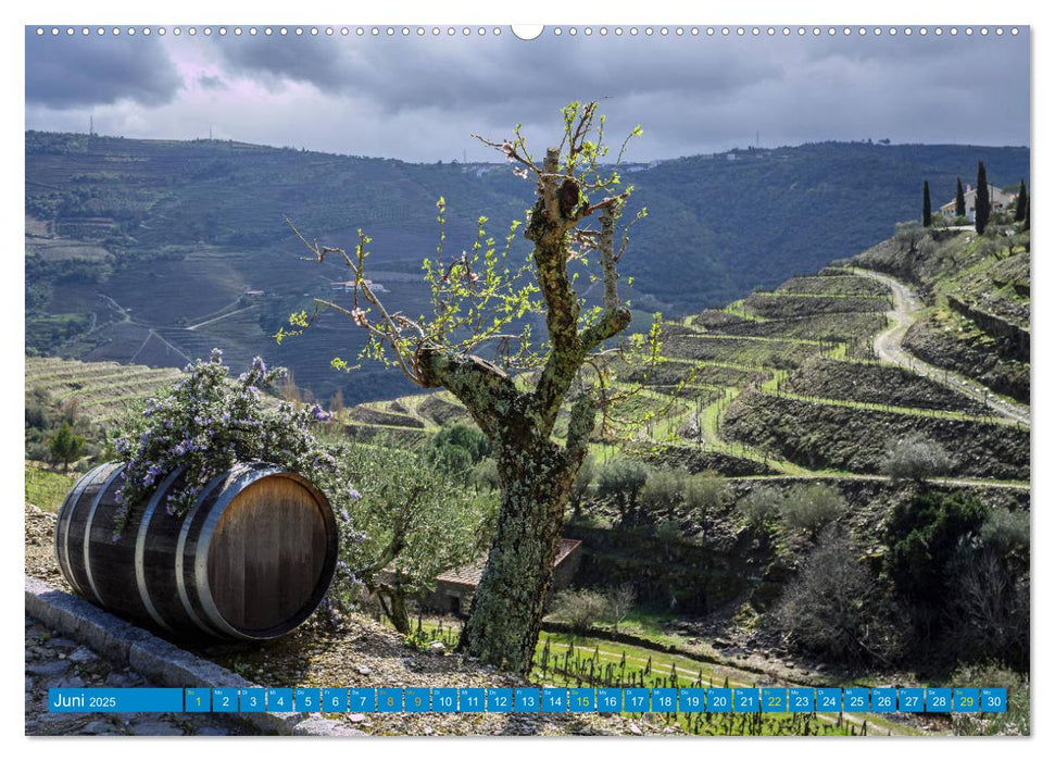 Porto & das Douro-Tal (CALVENDO Premium Wandkalender 2025)