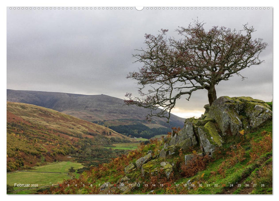 Magisches Northumberland (CALVENDO Premium Wandkalender 2025)