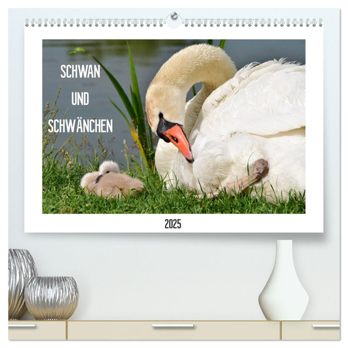 SCHWAN UND SCHWÄNCHEN (CALVENDO Premium Wandkalender 2025)