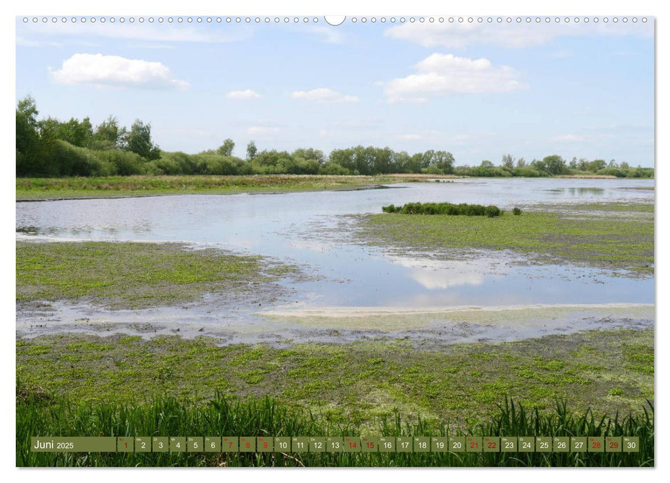 Traumhaftes Steinhuder Meer (CALVENDO Premium Wandkalender 2025)