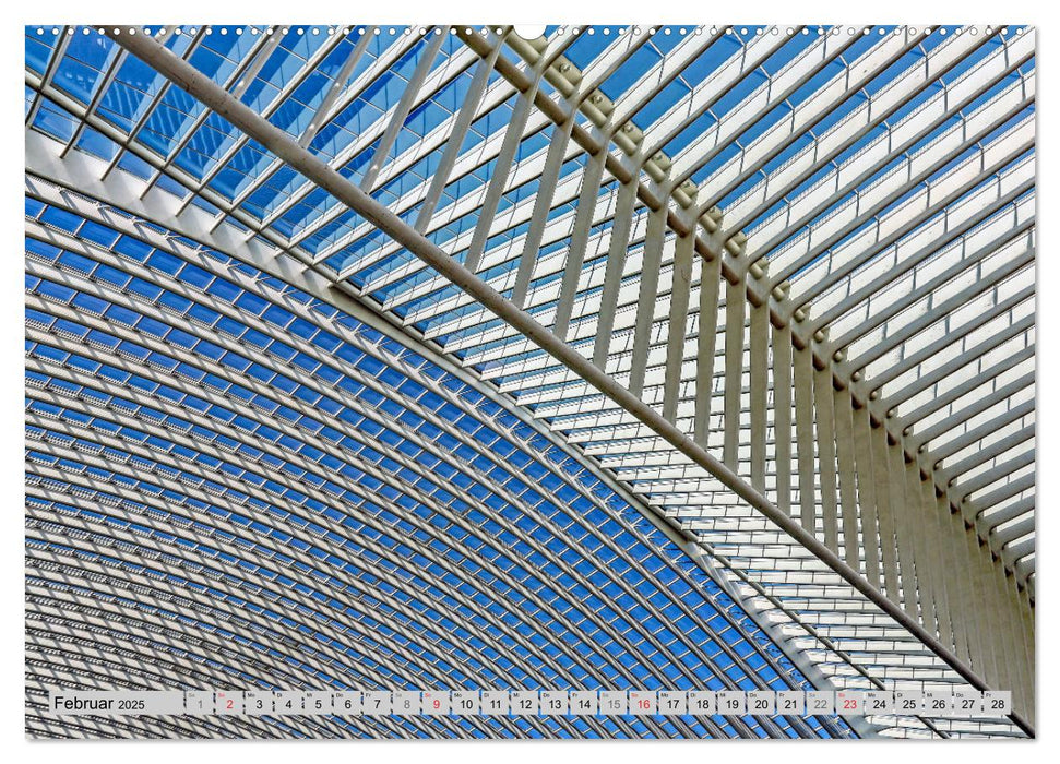 Der Bahnhof Guillemins (CALVENDO Wandkalender 2025)