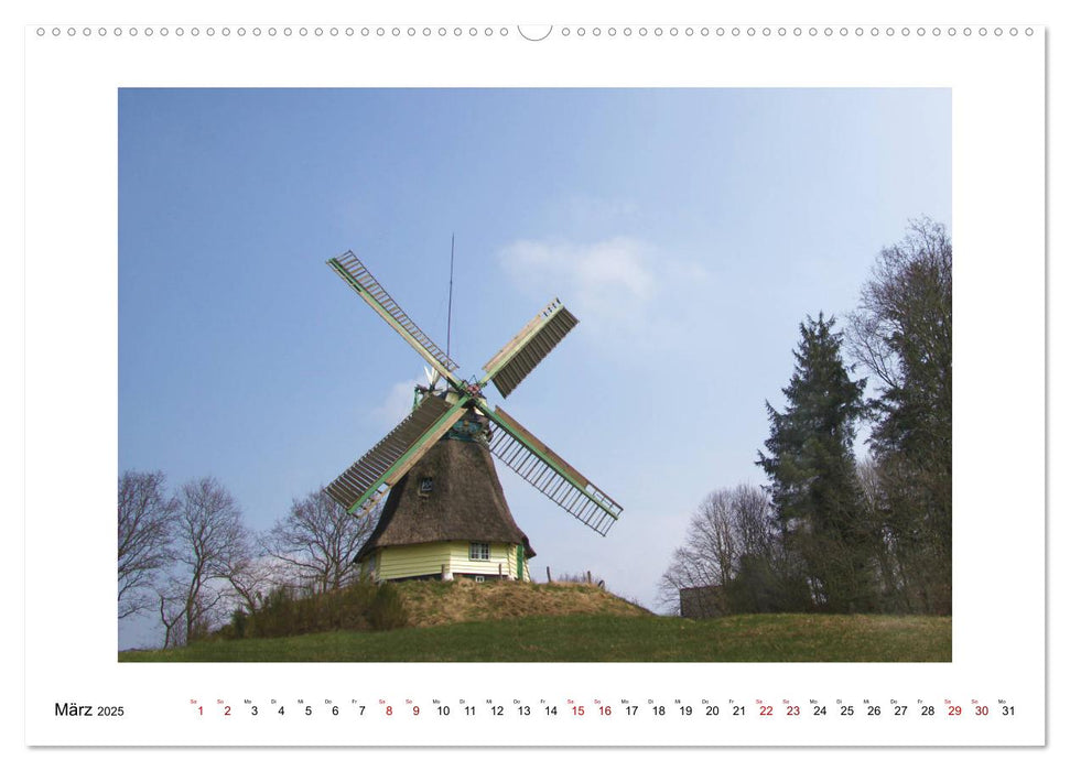 Liebenswertes Dithmarschen (CALVENDO Premium Wandkalender 2025)