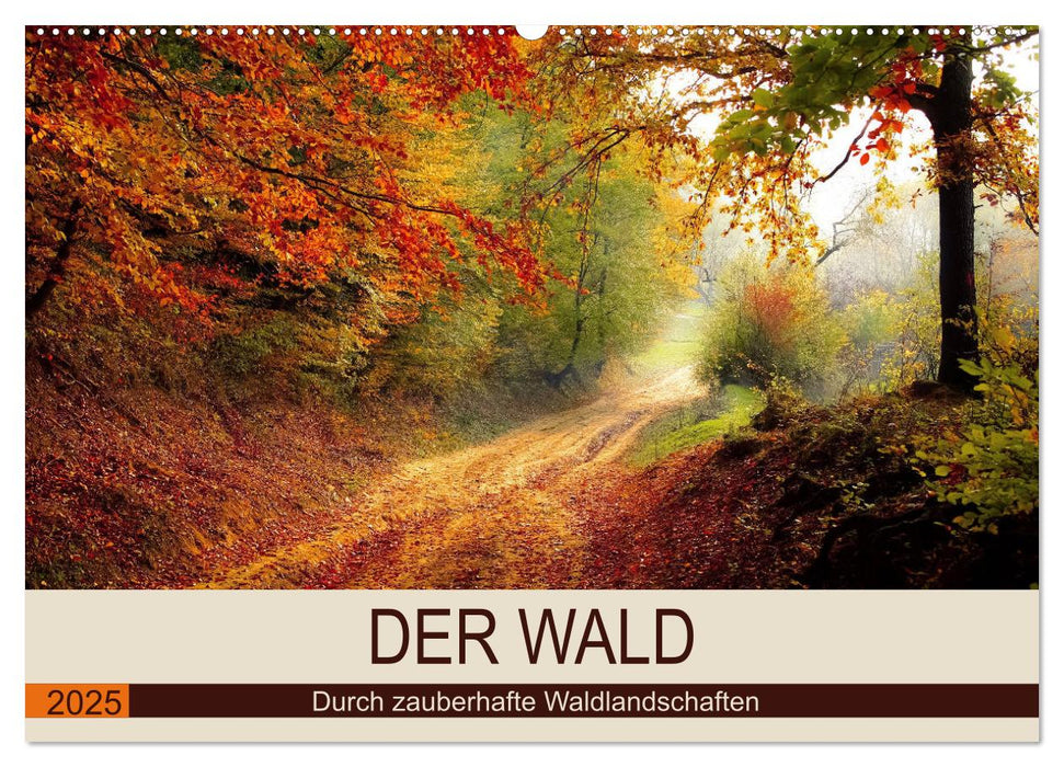 Der Wald. Durch zauberhafte Waldlandschaften (CALVENDO Wandkalender 2025)