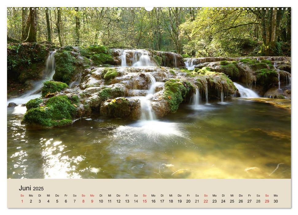 Der Wald. Durch zauberhafte Waldlandschaften (CALVENDO Wandkalender 2025)