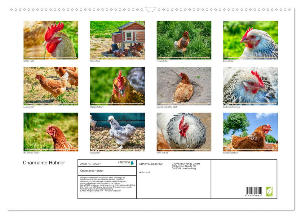 Charmante Hühner (CALVENDO Wandkalender 2025)