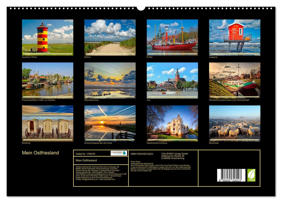 Mein Ostfriesland (CALVENDO Premium Wandkalender 2025)