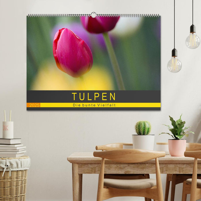 Tulpen - die bunte Vielfalt (CALVENDO Wandkalender 2025)