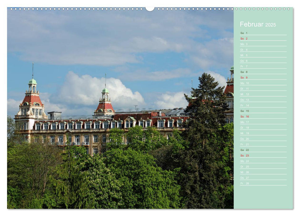 BAD WILDUNGEN - Impressionen von der Bäderstadt (CALVENDO Premium Wandkalender 2025)