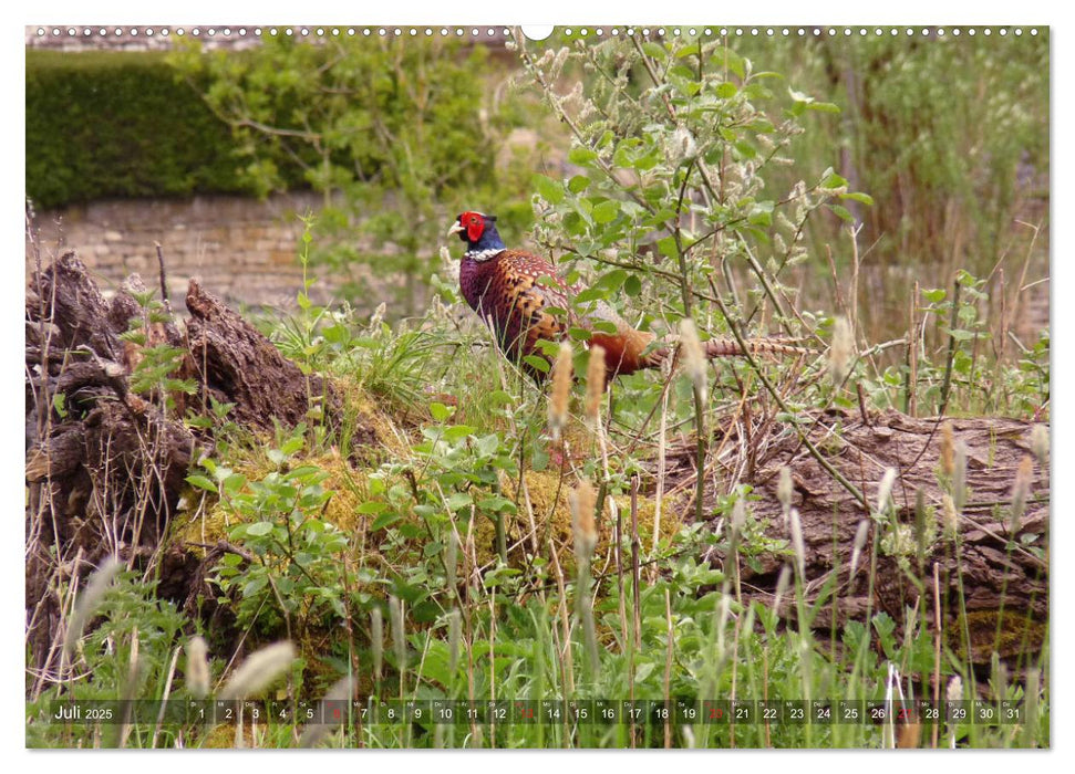 Malerische Cotswolds (CALVENDO Premium Wandkalender 2025)