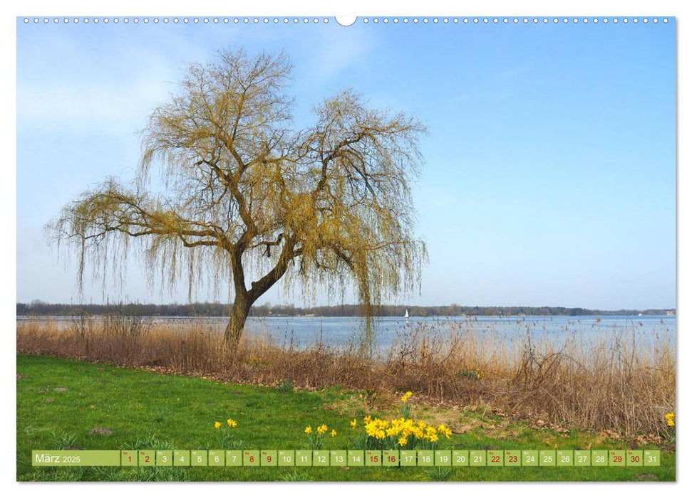 Zwischenahner Meer Momentaufnahmen (CALVENDO Premium Wandkalender 2025)