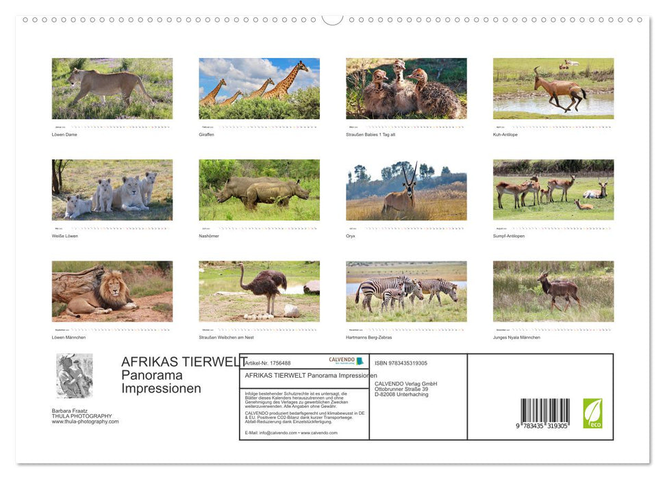 AFRIKAS TIERWELT Panorama Impressionen (CALVENDO Premium Wandkalender 2025)